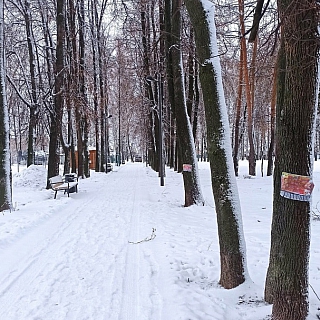 Реклама сервиса наркоты и закладок в Семейном Парке? 3