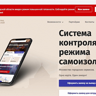 Для выхода из дома жителям Бора следует получить специальное подтверждение! 1