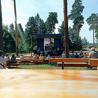 Что известно про День города на Бору? 1