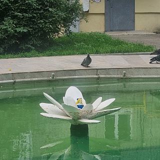 Где в городе Бор появилась Дюймовочка? 2