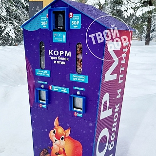 Борским белкам понравится 3