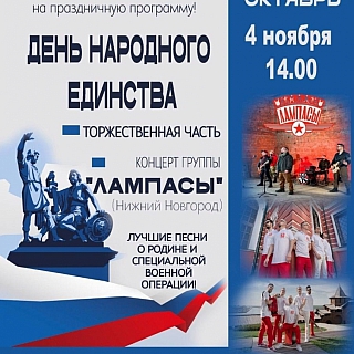 День народного единства на Бору 8