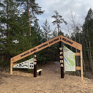 На Моховых появилось кое-что интересное 3