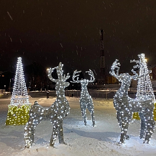 На Мухинское завезли красоту! 1