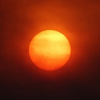 Ситники задыхаются от торфяного дыма 3