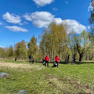 На Бору прошёл общегородской субботник 3