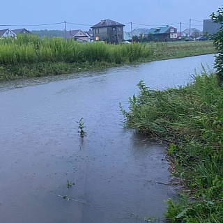 Боталово-4 затонуло. Что предпримет администрация? 3