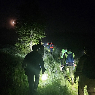 Двое мужчин потерялись в борском лесу 2