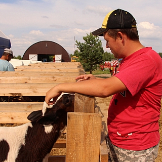 Создатели оленьей фермы на Бору планируют открыть эко-парк 1