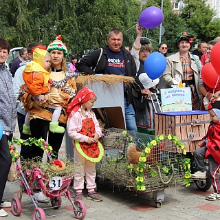 Парад детских колясок прошел на Бору 7 июля 8