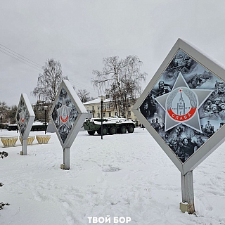 Есть на Бору и хорошие новости 4