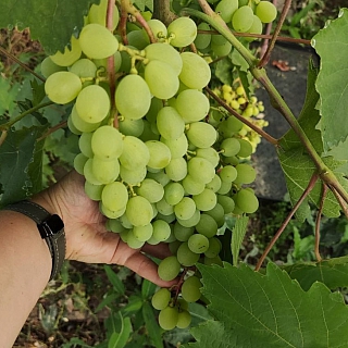 И всё-таки в глобальном потеплении есть свои преимущества 7