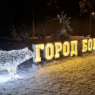 Как вам новогодний Бор? 6