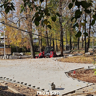 Странное соседство в Борском парке 1