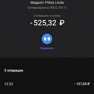 Нижегородка пожаловалась на борчанина 3