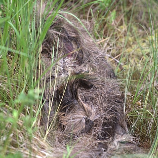 В театре жизни главное — буфет 2