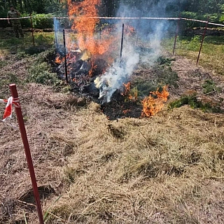 В Борском лесничестве испытали новое средство для борьбы с лесными пожарами 2