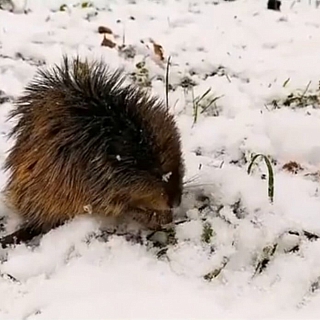 Итоги 2019 года: номинация "Чудо природы" 7