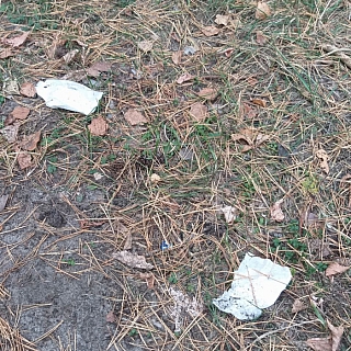 Большая просьба от борчанки 1