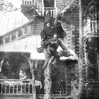 Нижегородские власти планируют восстановить дачу архитектора Павла Малиновского на Бору 1