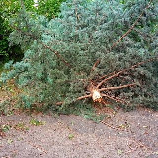 ЧП около КЦ Теплоход 2