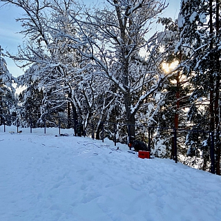 Несмотря на мороз, работы на Моховых продолжаются 2