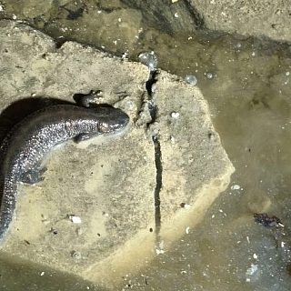 "Век живи, век офигевай" — борчанка 3