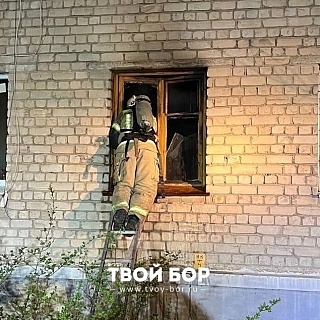 Подробности ночного пожара на Махалова 2