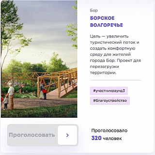 Голосуй за Борское Волгоречье! 4