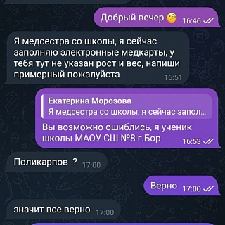 Борчанин поделился подозрительной перепиской 1