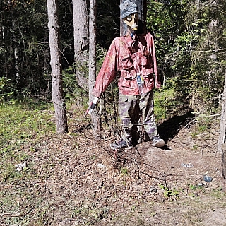 Осторожно, в лесу... 1