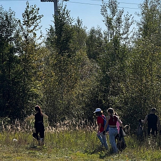 Борчане позаботились о природе 1