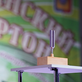 На Бору состоялся фестиваль "Потехинский камертон" 2