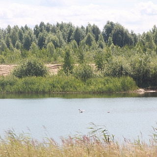 На Юрасовском озере начались работы по благоустройству 3