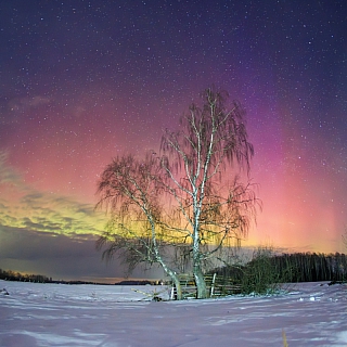 Полярное сияние замечено недалеко от Бора 1