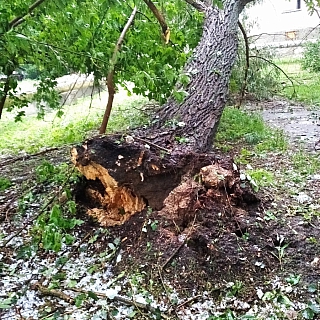Погодный апокалипсис прошел на Бору 4