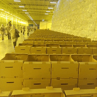 Как выглядят борские теплицы внутри 4