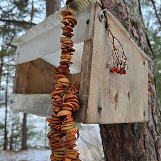 Борчане и белки 3