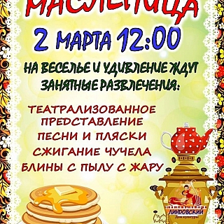 Масленица в Борском округе 7