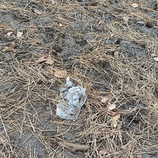 Большая просьба от борчанки 2