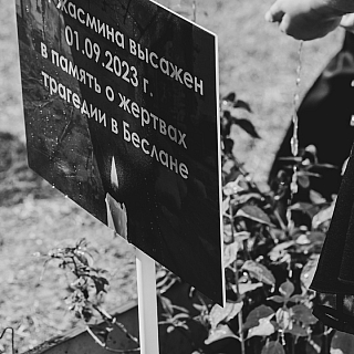 Борские школьники приняли участие во Всероссийской акции 3