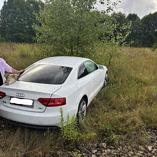 Печальные борские фотографии 1