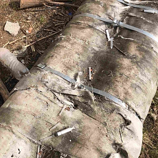 Старая борская история возвращается? 3