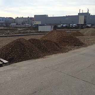 Представители ОНФ потребовали от властей Бора найти компромисс с жителями по поводу обустройства парковки в районе Мухинского озера 3