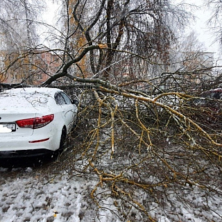 На Бору случился снежный коллапс 2