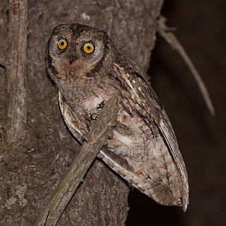 Итоги 2019 года: номинация "Чудо природы" 5