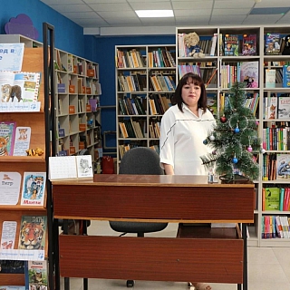 Первая модельная библиотека открылась на Бору 2