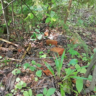 Могилы пленных немцев на Бору 4