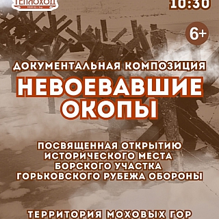 День народного единства на Бору 7