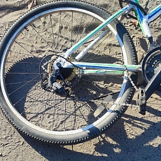 Сотрудники Борского отдела ГАИ бьют тревогу 2